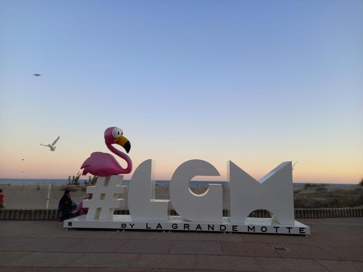 Le Cocon de Flo, studio face à la mer au couchant La Grande-Motte Esterno foto